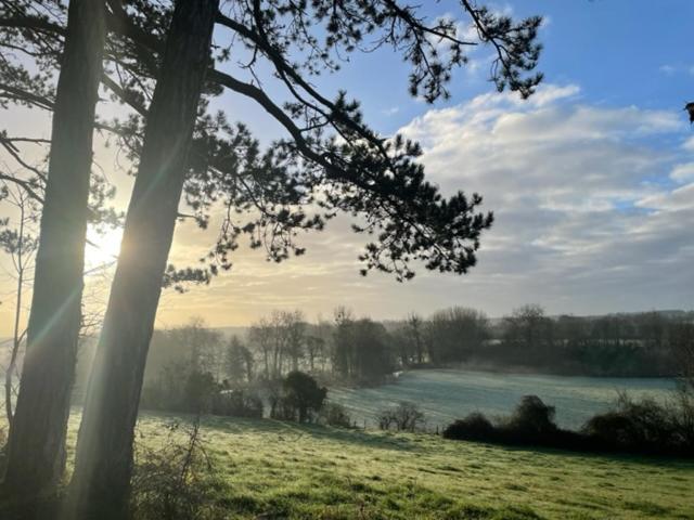 Gites Les Rainettes Vienne-en-Bessin Buitenkant foto