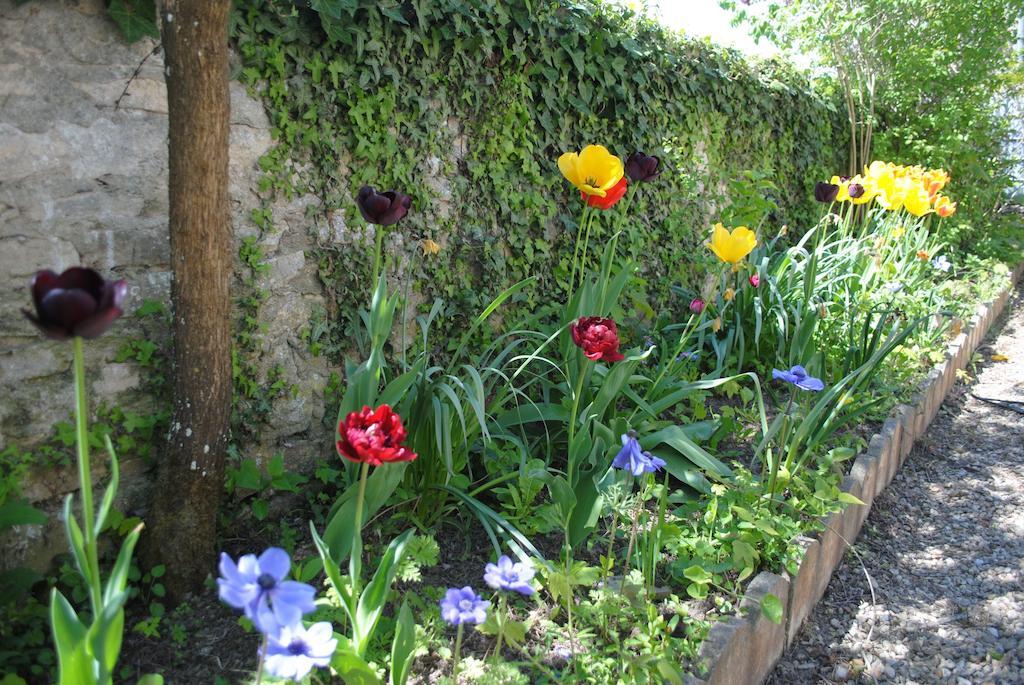 Gites Les Rainettes Vienne-en-Bessin Buitenkant foto