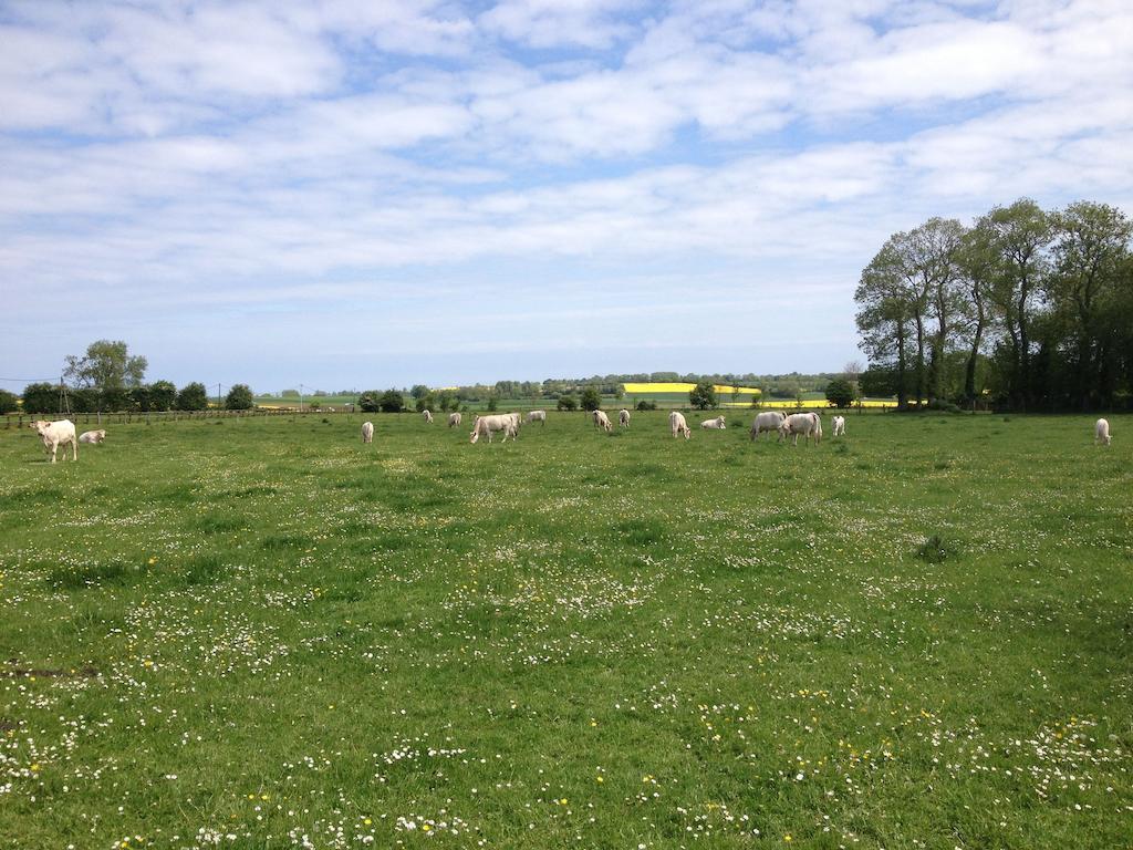 Gites Les Rainettes Vienne-en-Bessin Buitenkant foto